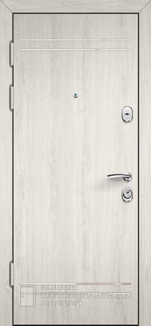 Фото «Серая дверь №20» в Лосино-Петровскому