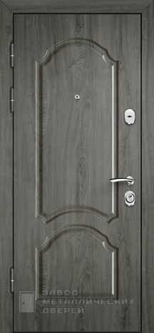 Фото «Наружная дверь №11» в Лосино-Петровскому