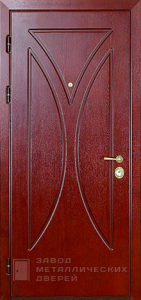 Фото «Наружная дверь №8»  в Лосино-Петровскому